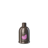 Alter Ego - Chromego - Silver maintain - Revitalizing Conditioner 300ml