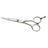 Dannyco - 5'' Japanese Stainless Steel Scissors