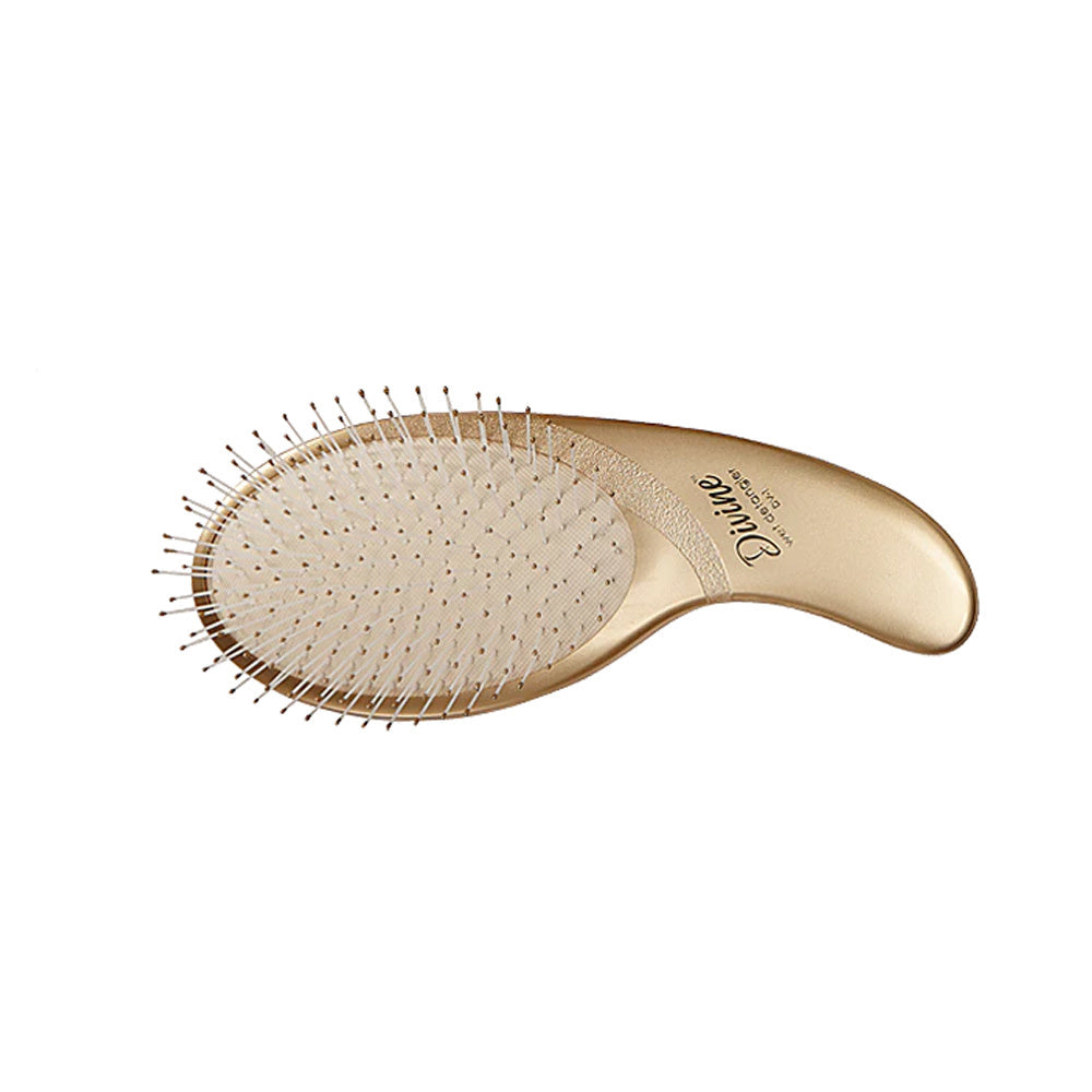Olivia Garden - Divine Brush DV1